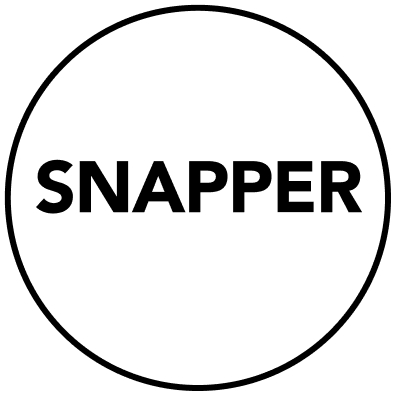 Snapper Net Solutions